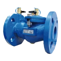Watts EA453 clapet anti-retour DN65 x DN65 - fonte - agréé Belgaqua