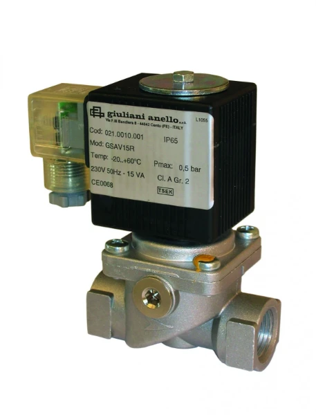 Watts GSAV gasmagneetventiel autom. 500 mbar 4/4"FF