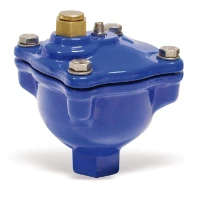 WATTS Purgeur d'air automatique MAXIVENT MXV 20 3/4" F