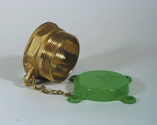 WATTS Bouchon de remplissage TS 50/50 MS-DG