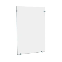 DELABIE Miroir de toilette rectangulaire 420x600 épaisseur 6 mm