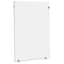 DELABIE Miroir de toilette rectangulaire 500x750 épaisseur 6 mm