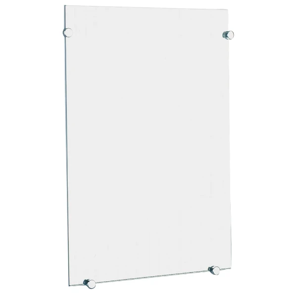 DELABIE Miroir de toilette rectangulaire 500x750 épaisseur 6 mm