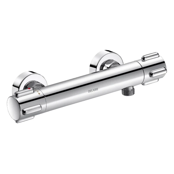 DELABIE Mitigeur douche thermostatique SECURITHERM, raccords std
