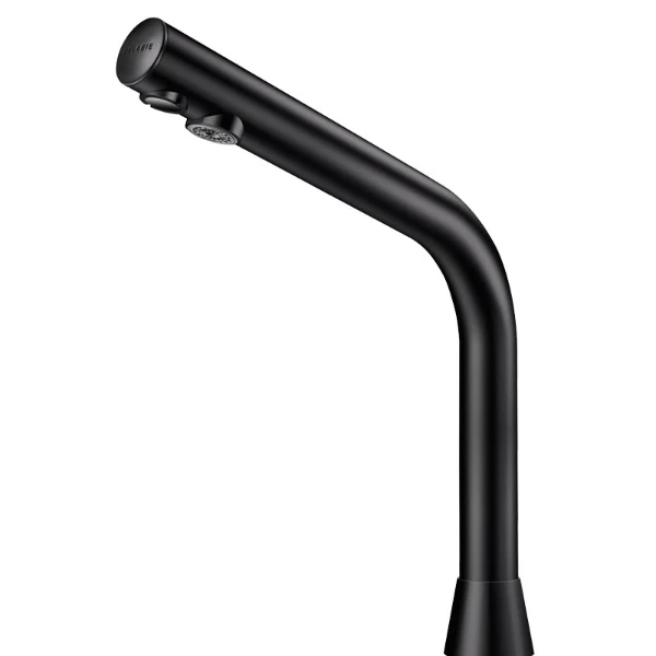 Delabie BINOPTIC robinet lavabo M3/8" noir mat H.250 sur secteur 230/12V