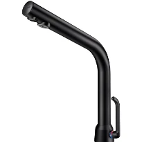 DELABIE BINOPTIC MIX lav. M3/8" mit. noir mat H.250 secteur 230/12V