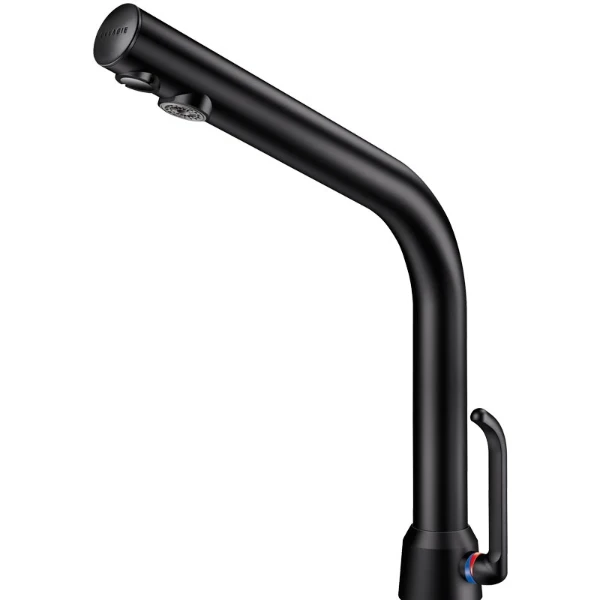 DELABIE BINOPTIC MIX lav. M3/8" mit. noir mat H.250 secteur 230/12V