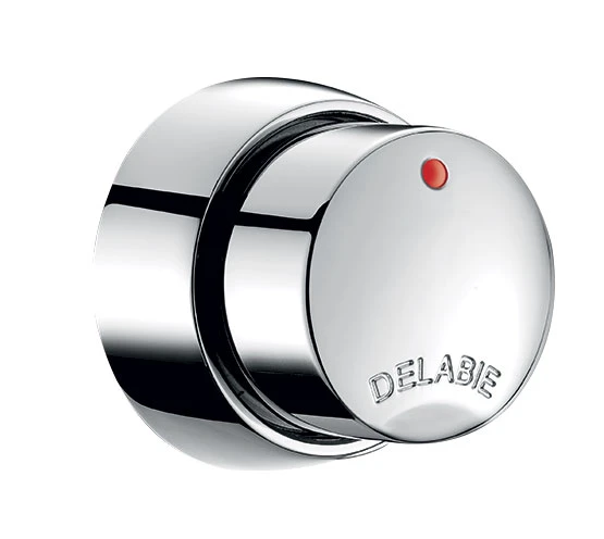 DELABIE TEMPOSOFT 2 douchekraan M1/2" vr paneel 7 mm zelfsl. ~30sec