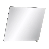 DELABIE Miroir inclinable 600x500 avec poignée anthracite