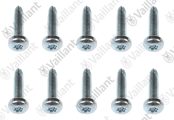 VAILLANT WSS Vis, (x10)