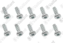 VAILLANT WSS Vis, (x10)