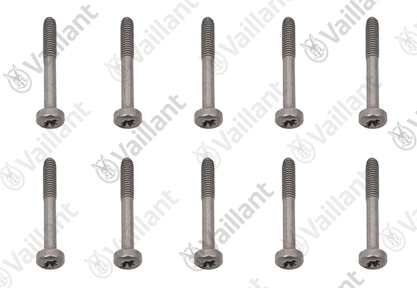 VAILLANT WSS Vis, (x10)
