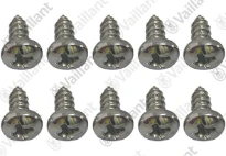 VAILLANT WSS Vis de cylindre, (x10)