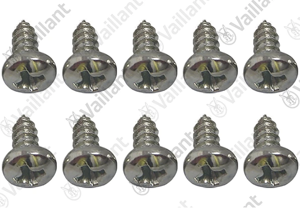VAILLANT WSS Vis de cylindre, (x10)