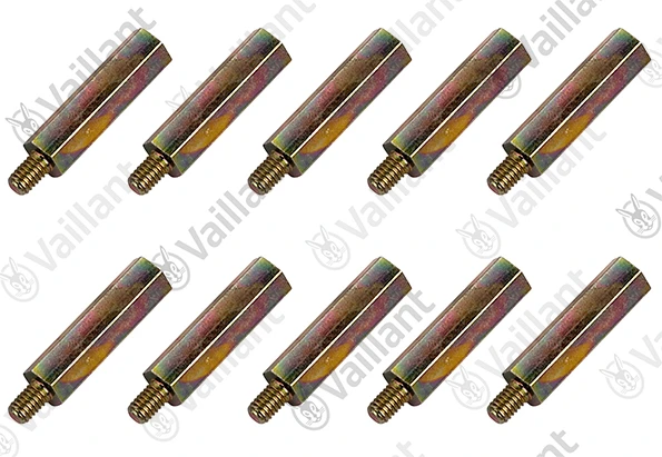 VAILLANT WSS Vis hexagonale, (x10)