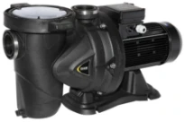 DAB Euroswim 300 T - IE3