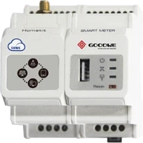 GoodWe Homekit HK1000