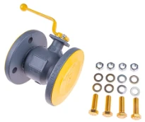 Remeha Vanne gaz RHT DN50