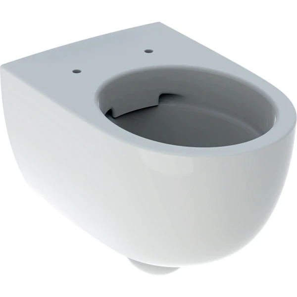 Geberit Renova Comfort cuvette suspendue Rimfree sans bride - blanc - B350xD550 mm