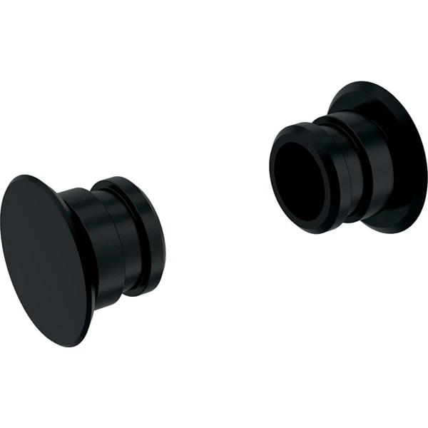 Geberit Monolith fixeerbouten set kunststof zijafwerking middengrijs parelmica (prijs per set van 2 stuks)