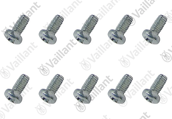 VAILLANT WSS Vis, (x10)