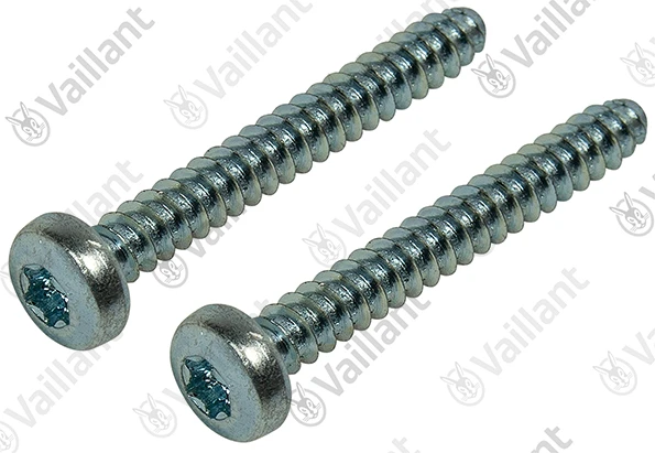 Vaillant WSS Vis, 4,8 x 38 mm, (x2)