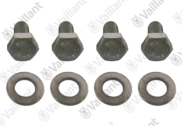 Vaillant WSS Vis (x4)