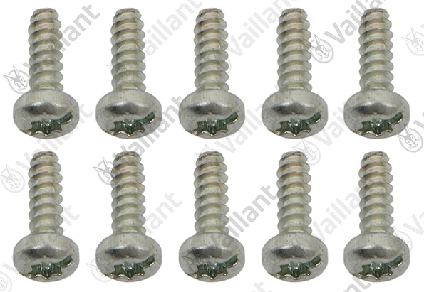 Vaillant WSS Vis, (x10)