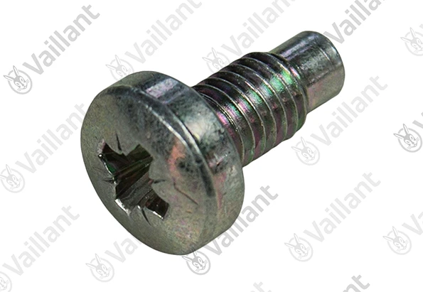 Vaillant WSS Vis, (x10)