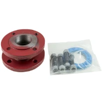 PROLONGE GRUNDFOS A50-60 60 - DN50