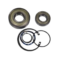 GRUNDFOS WSS Kit, Ball Bearing 6306.SYN/6205.SYN
