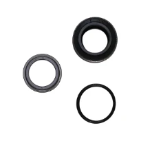 GRUNDFOS WSS Shaft seal BQQE GG D28/spare