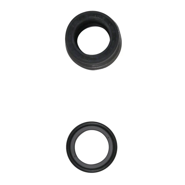 GRUNDFOS WSS Shaft seal BAQE GG D28/spare.