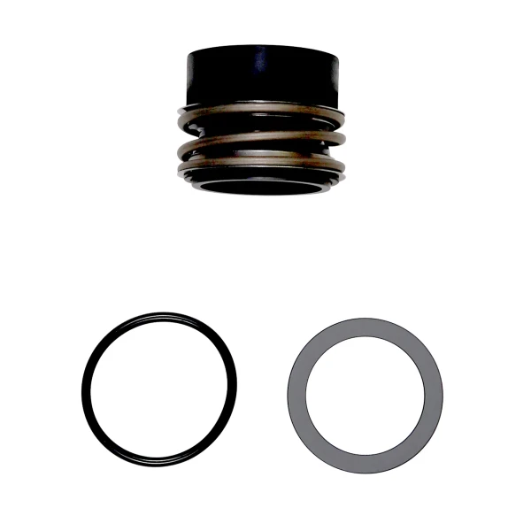 GRUNDFOS WSS Shaft seal BAQE GG D48/spare