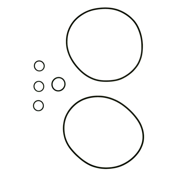 GRUNDFOS WSS Kit, Gasket FKM CR/I/N 1s/1/3/5