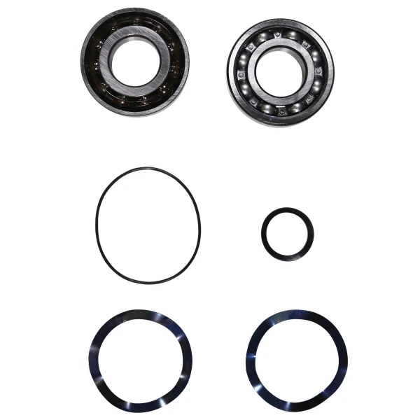 GRUNDFOS WSS Kit, Ball Bearing 7309.BE/6309.Z.C4