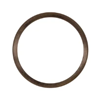 GRUNDFOS WSS Kit, Wear Ring D100/D114x10 BZ