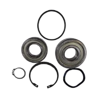 GRUNDFOS WSS Kit, Ball Bearing 6305.SYN/6205.SYN