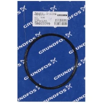 GRUNDFOS WSS Spare, O-ring 100x4,05 (EPDM)