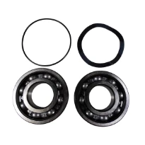 GRUNDFOS WSS Kit, Ball Bearing 6309.Z.C4/6309.Z.C4