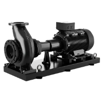 Grundfos NK 50-125/125AA2F2AESBQQEEW3