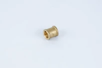BEGETUBE Manchon 1/2" F x 1/2" F.