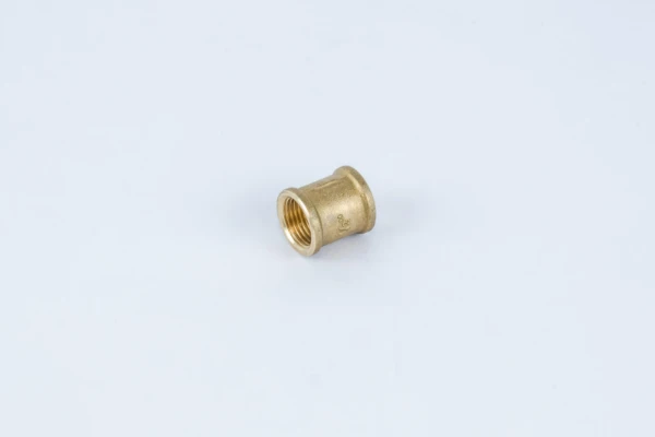 BEGETUBE Manchon 1/2" F x 1/2" F.
