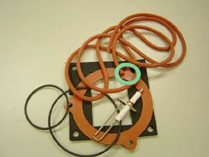 Remeha WSS set d'entretien (joints plus électrode) gaz 210 eco v1 & v2 (ims)