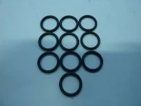 REMEHA WSS Joint torique 18x2,8 (10 pcs) Aq/Av(Plus/Calenta/Calora