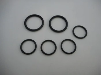 Remeha WSS o-ring