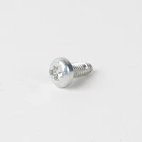 ACV WSS Vis 40x9,5 TORX
