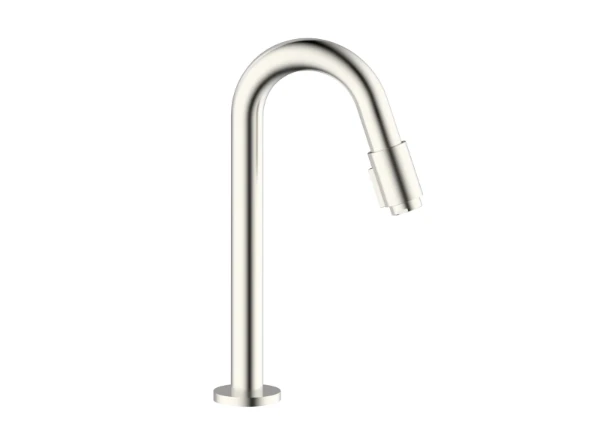 Procasa Vivo robinet eau froide - bec 270 mm - Brushed Nickel PVD - brossé mat PVD