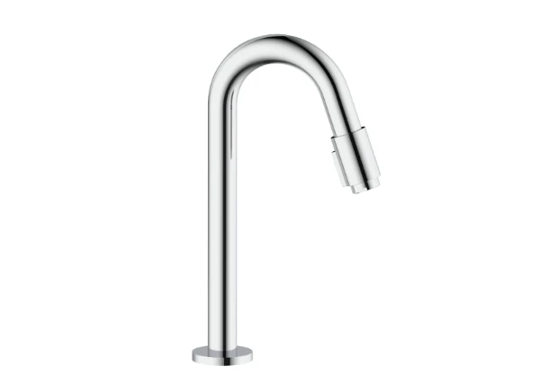 Procasa Vivo robinet eau froide - bec 270 mm - chroom