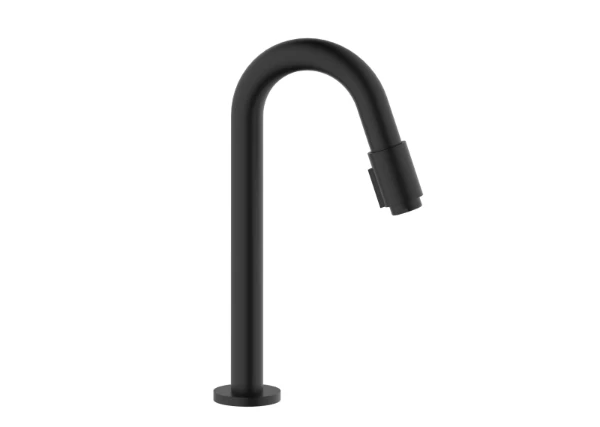 Procasa Vivo robinet eau froide - bec 270 mm - noir mat